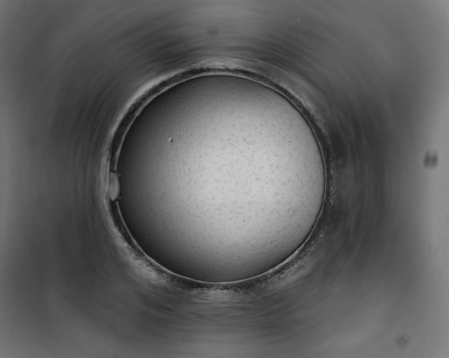 X0000101150984200807071145