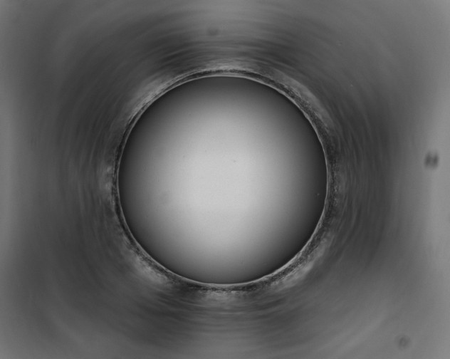 X0000101150985200807071145