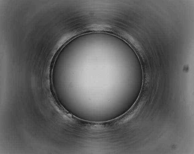 X0000101150986200807071145