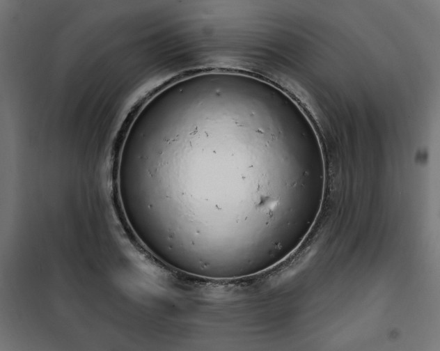 X0000101150987200807071145