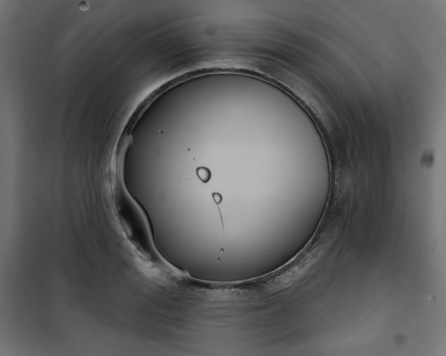 X0000101150988200807071145