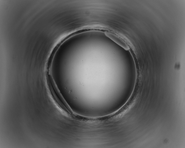 X0000101150989200807071145