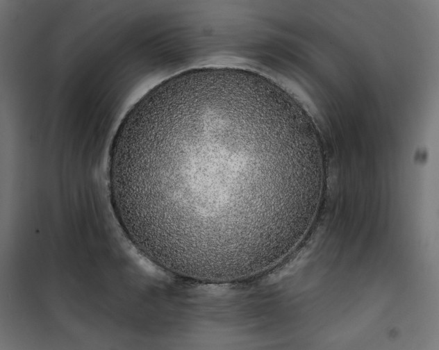 X0000101150990200807071145