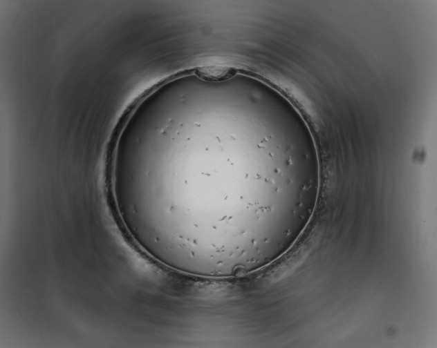 X0000101150991200807071145