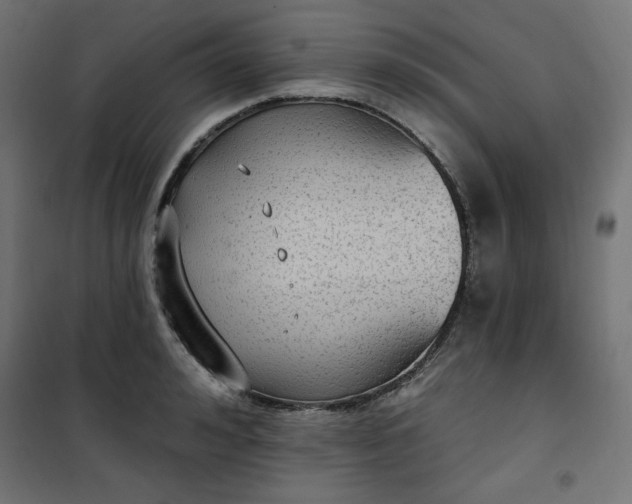 X0000101150992200807071145