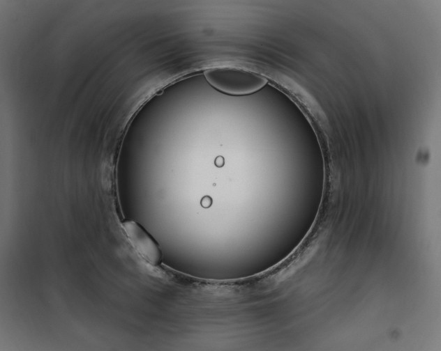 X0000101150993200807071145