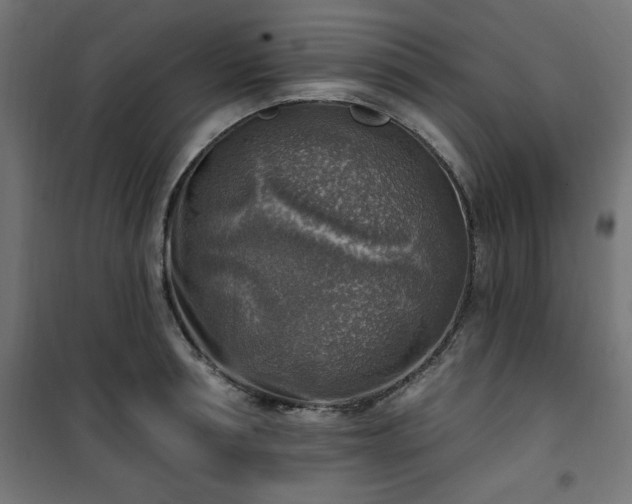 X0000101150994200807071145