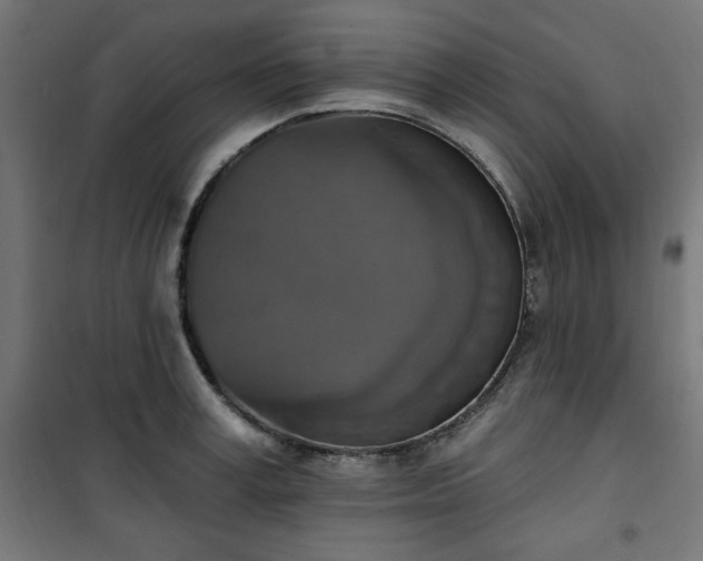 X0000101150995200807071145