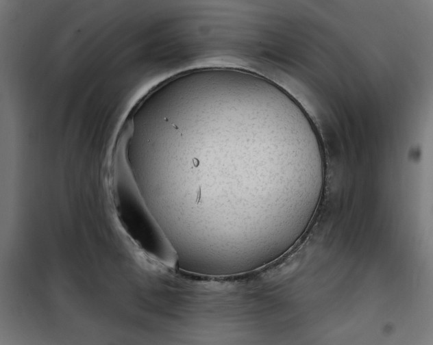 X0000101150996200807071145