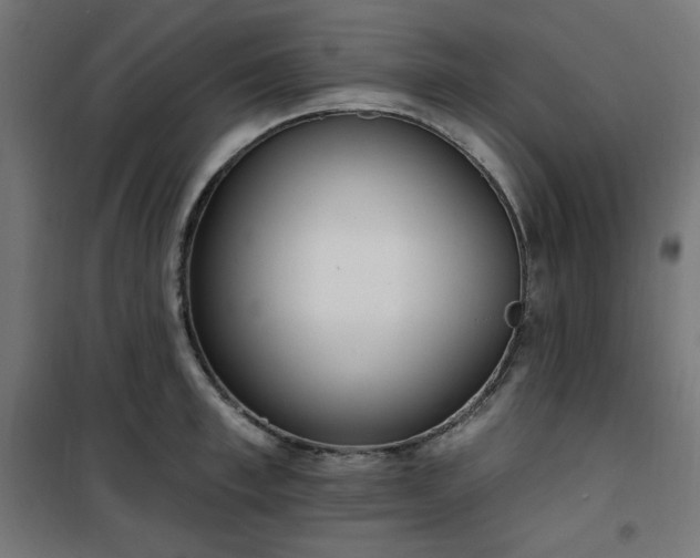 X0000101150997200807071145