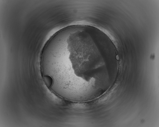 X0000101150998200807071145