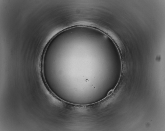 X0000101150999200807071145