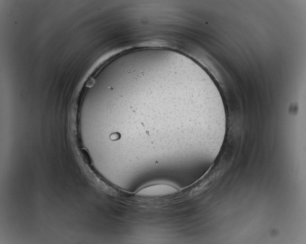 X0000101151000200807071145