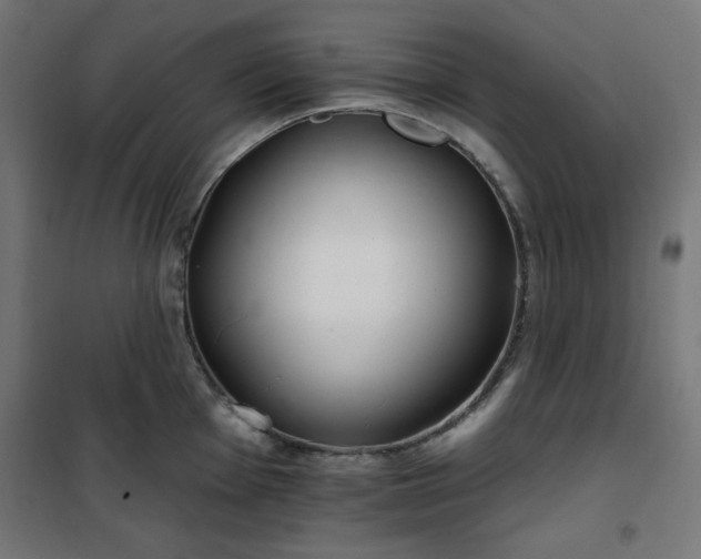 X0000101151001200807071145