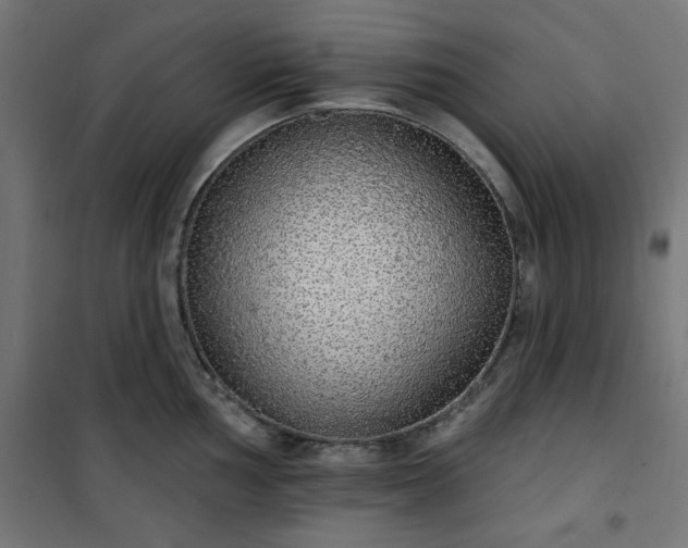 X0000101151002200807071145