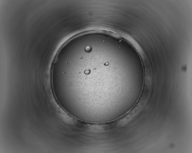 X0000101151004200807071145