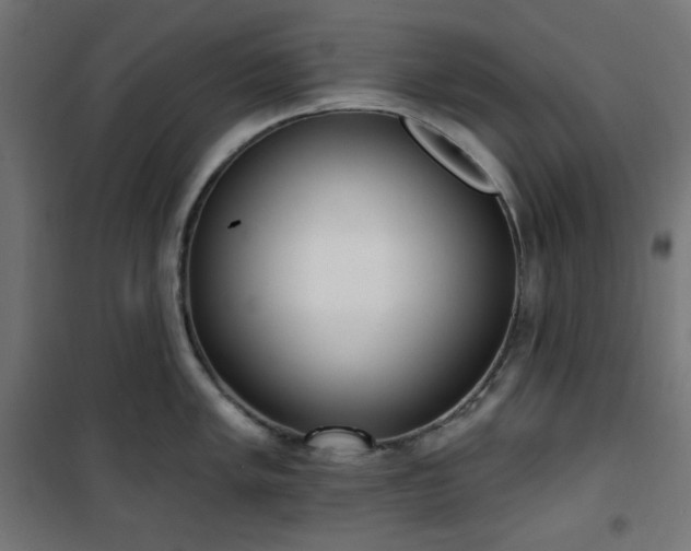 X0000101151005200807071144