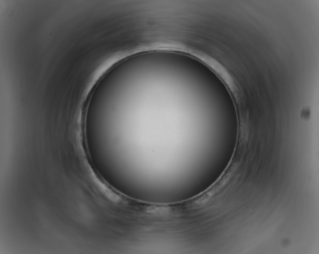 X0000101151006200807071144