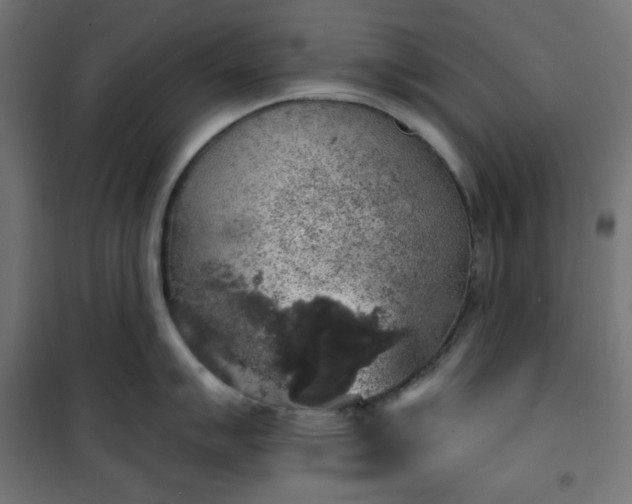 X0000101151007200807071144