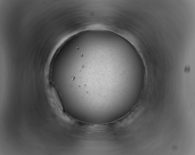 X0000101151008200807071144