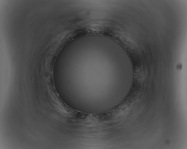 X0000101151009200807071144