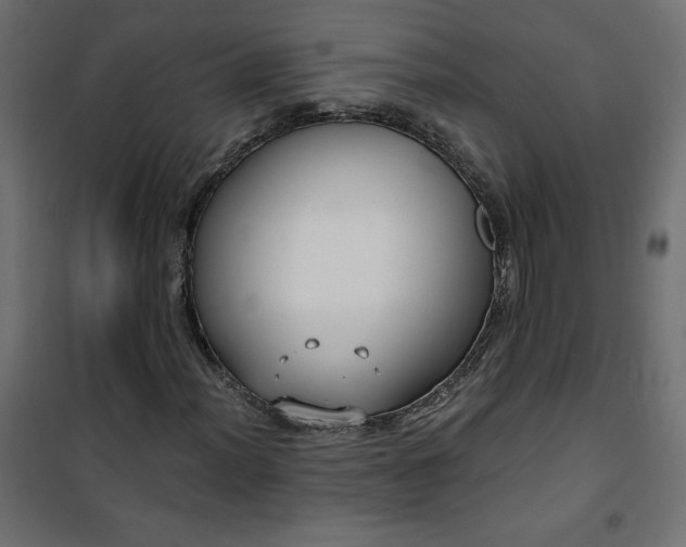 X0000101151012200807071144