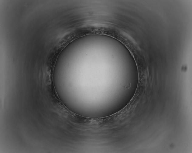 X0000101151013200807071144