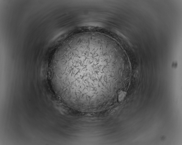 X0000101151014200807071144