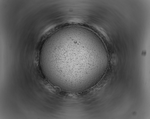 X0000101151015200807071144