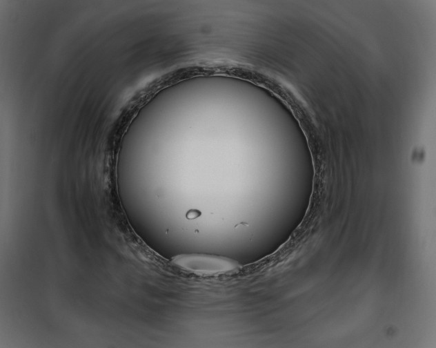 X0000101151016200807071144