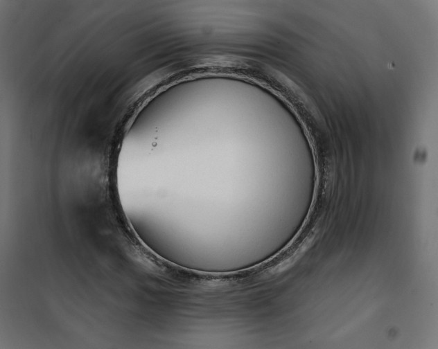 X0000101151017200807071144