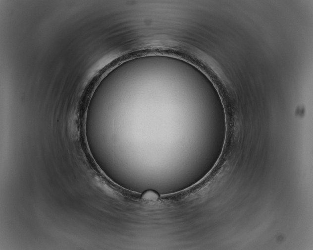 X0000101151018200807071144