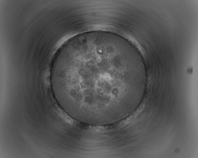 X0000101151019200807071144