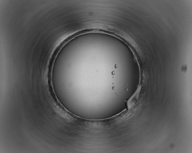 X0000101151020200807071144