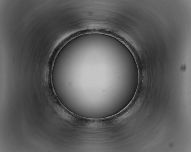 X0000101151021200807071144