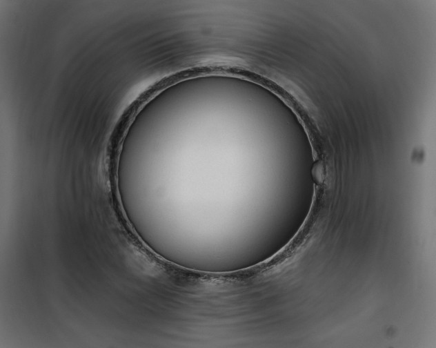 X0000101151022200807071144