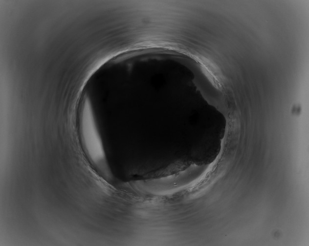 X0000101151023200807071144