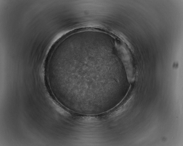 X0000101151024200807071144