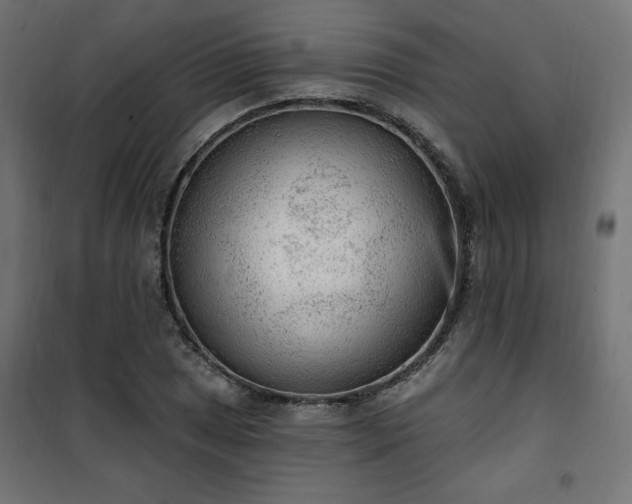 X0000101151025200807071144