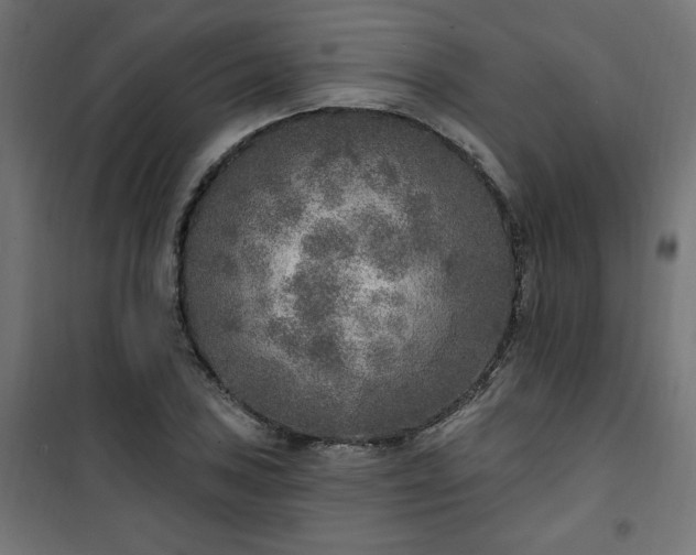 X0000101151027200807071144