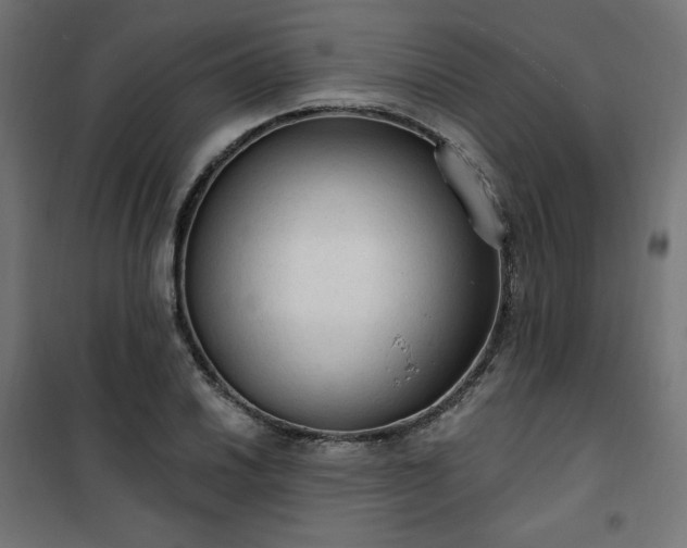 X0000101151030200807071144