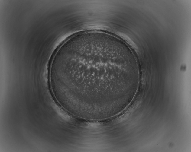 X0000101151031200807071144