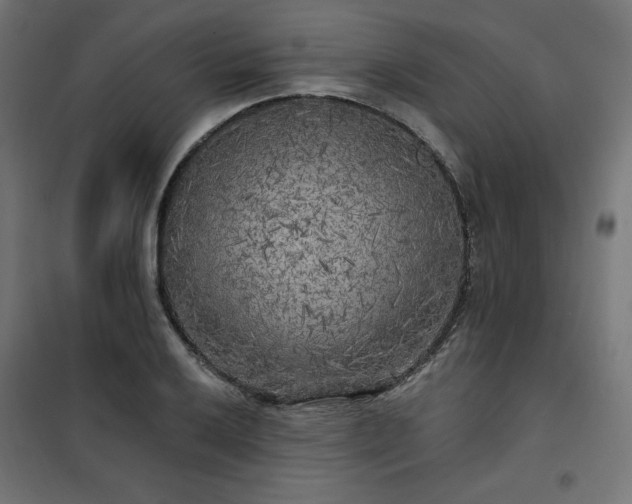 X0000101151032200807071144