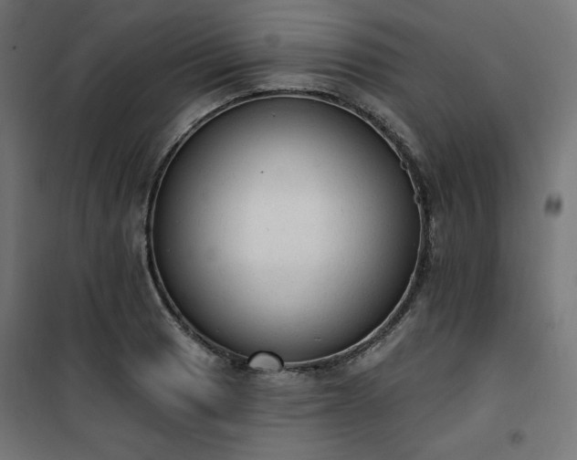 X0000101151033200807071144