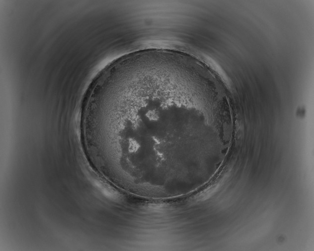 X0000101151035200807071144