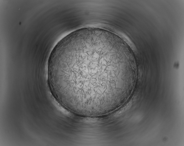 X0000101151036200807071144