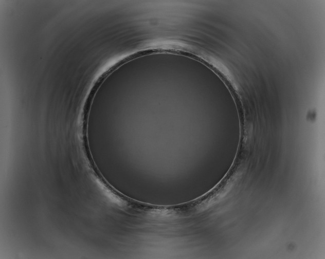 X0000101151037200807071144