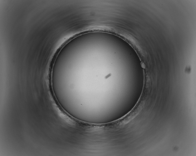 X0000101151038200807071144