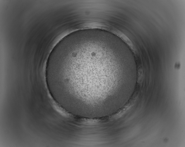 X0000101151039200807071144