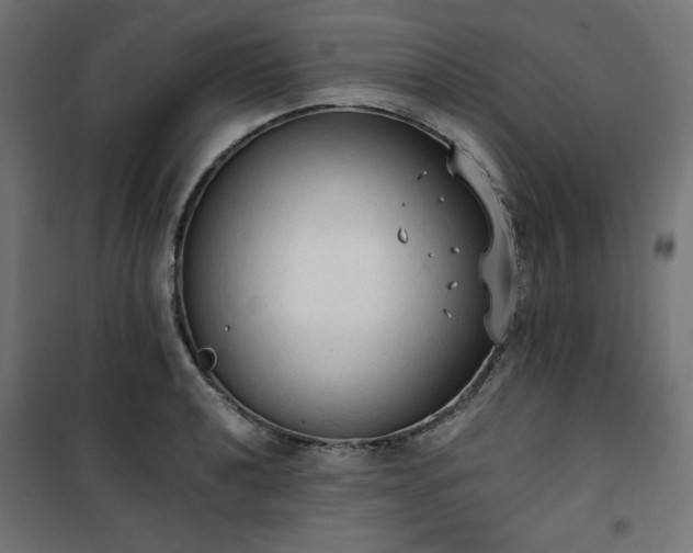 X0000101151040200807071144